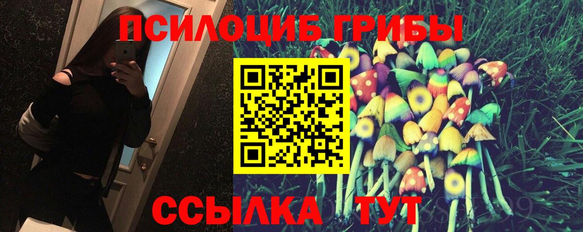 Лобня  Псилоцибиновые грибы Psilocybe  Вход с VPN 